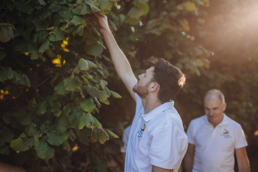 Cascina Cà Granda sceglie l’agricoltura biologica: un impegno per il futuro
