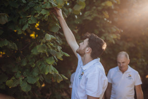 Cascina Cà Granda sceglie l’agricoltura biologica: un impegno per il futuro